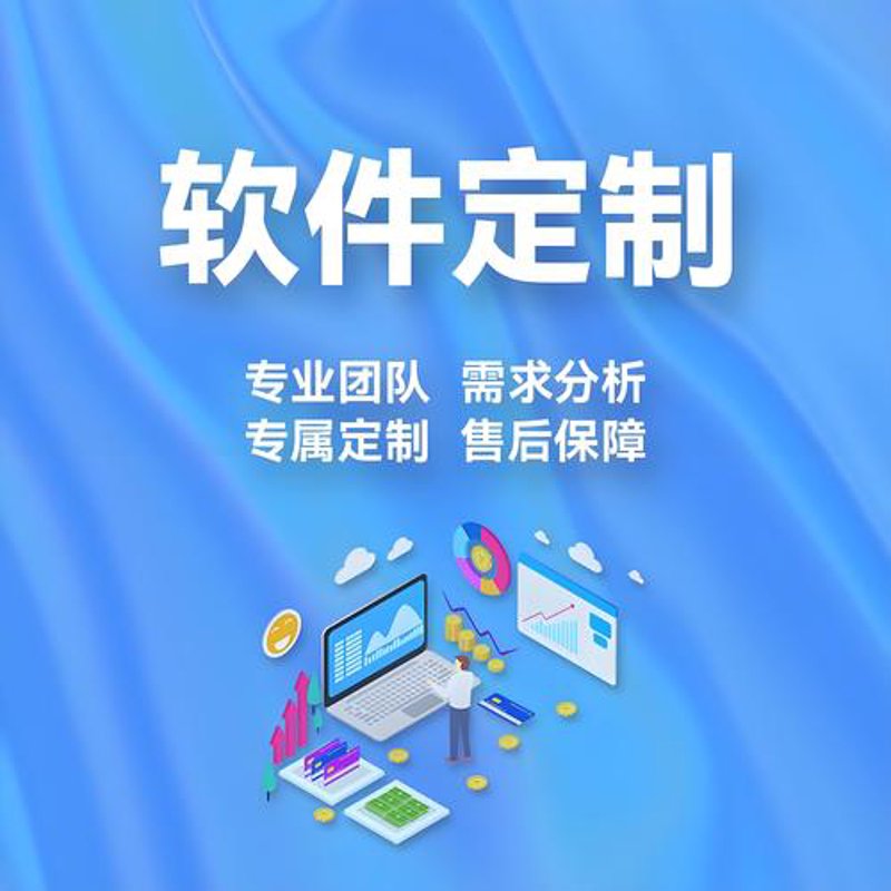 软件定制开发：企业数字化转型的新引擎